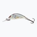 Wobbler Salmo Hornet FL dace real QHT016