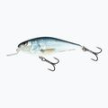 Salmo Executor SHR de mare QEX002