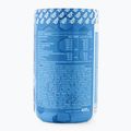 Joint Flex Real Pharm regenerarea articulațiilor 400g căpșuni-mure 701435 2