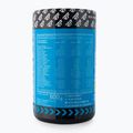 ISO GO Real Pharm Real Pharm aminoacizi 600g lychee 701749 2