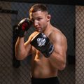 Mănuși de antrenament pentru box Bushido, negru, Rp4 8