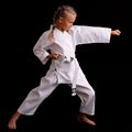Bushido centura pentru copii karategi ARK-3102 alb 14