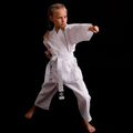 Bushido centura pentru copii karategi ARK-3102 alb 15