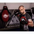 Mănuși de box cu sistem Wrist Protect Bushido, negru, Bb4-12oz 16