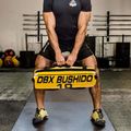 Bushido Power Bag 10 kg galben Pb10 8