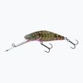 Cap de taur Salmo SDR cap de taur sclipitor QBD017