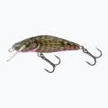 Salmo Bullhead FL bullhead spumant QBD011