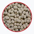 Momeală pentru momeală cu cârlig MatchPro Top Garlic alb 979231 2