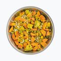 Alimente liofilizate LYOFOOD Curry verde cu urzică și orez LF-7289 4
