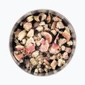 Alimente liofilizate LYOFOOD Fulgi de ovăz cu nucă de cocos cu fructe de pădure  smochine și semințe de chia LF-7616 4