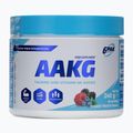 Pre-antrenament 6PAK AAKG 240g fructe de pădure PAK/154#OWLES