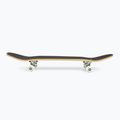 Fish Skateboards Emma Beginner 8.0 skateboard clasic verde 3