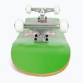 Fish Skateboards Emma Beginner 8.0 skateboard clasic verde 5