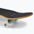 Fish Skateboards Emma Beginner 8.0 skateboard clasic verde 7