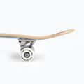 Fish Skateboards Zack Skateboard clasic pentru începători 8.0' albastru SKATE-ZAC-SIL-WHI 12