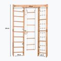 Scară de gimnastică Rinagym SPR Corner natural 2