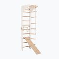 Scară de gimnastică RINAGYM SPR C+SLIDE