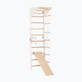 Scară de gimnastică RINAGYM SPR C+SLIDE 2