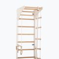 Scară de gimnastică RINAGYM SPR C+SLIDE 5