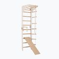 Scară de gimnastică RINAGYM SPR C+SLIDE 4