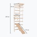 Scară de gimnastică RINAGYM SPR C+SLIDE 6
