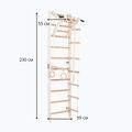 Scară de gimnastică RINAGYM SPR A white 4