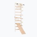 Scară de gimnastică RINAGYM SPR A+SLIDE 2