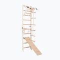 Scară de gimnastică RINAGYM SPR A+SLIDE 3