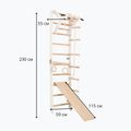 Scară de gimnastică RINAGYM SPR A+SLIDE 6