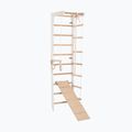 Scară de gimnastică RINAGYM SPR B+SLIDE 3