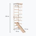 Scară de gimnastică RINAGYM SPR B+SLIDE 5