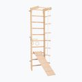 Scară de gimnastică RINAGYM SPR B+SLIDE