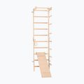 Scară de gimnastică RINAGYM SPR B+SLIDE 2