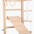 Scară de gimnastică RINAGYM SPR B+SLIDE 5