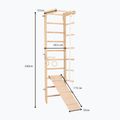 Scară de gimnastică RINAGYM SPR B+SLIDE 6