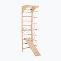 Scară de gimnastică RINAGYM SPR C+SLIDE 3