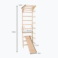 Scară de gimnastică RINAGYM SPR C+SLIDE 6