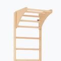 Scară de gimnastică RINAGYM SPR C Pure 4