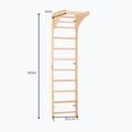 Scară de gimnastică RINAGYM SPR C Pure 5