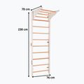 Scară de antrenament RINAGYM Pro Pure pure white 6