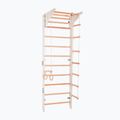 Scară de gimnastică RINAGYM Pro 2 white 3