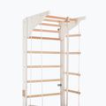Scară de gimnastică RINAGYM Pro 2 white 5