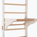 Scară de gimnastică RINAGYM Pro 2 white 6