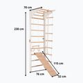 Scară de gimnastică RINAGYM Pro 2 white 7
