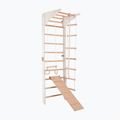 Scară de gimnastică RINAGYM Pro 3 white 2