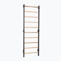 Scară de gimnastică RINAGYM Steel 1 graphit 2