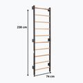 Scară de gimnastică RINAGYM Steel 1 graphit 9