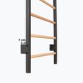 Scară de gimnastică RINAGYM Steel 1 graphit 10