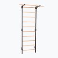 Scară de gimnastică RINAGYM Steel Pure graphit 2