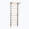 Scară de gimnastică RINAGYM Steel Pure graphit 3